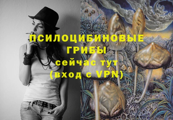 синтетический гашиш Алексеевка