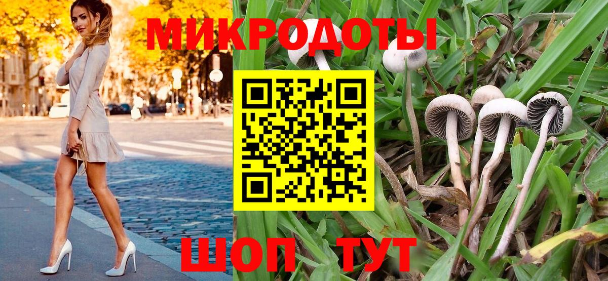 Псилоцибиновые грибы Psilocybine cubensis Брянск