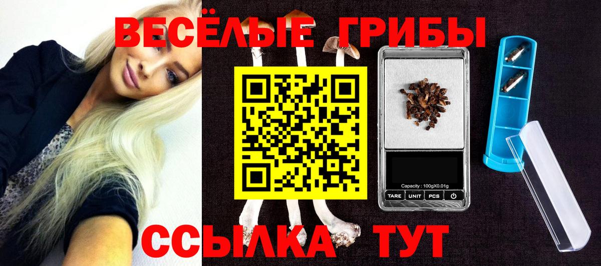 магазин продажи наркотиков  Вход с VPN  Брянск  Псилоцибиновые грибы GOLDEN TEACHER 